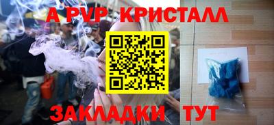 хмурый Тара
