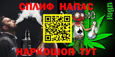 шишки Тверь