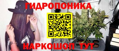 хмурый Тара