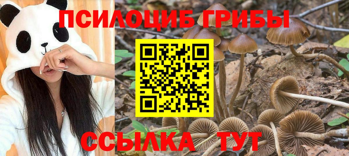 Галлюциногенные грибы прущие грибы Нерюнгри