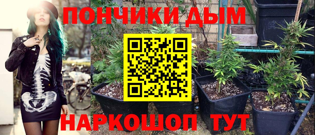 Марихуана семена Нерюнгри
